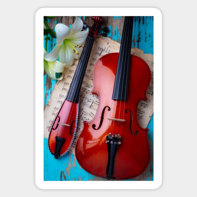 Pocket Violin And Full Size Violin Still life Sticker by photogarry